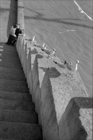 Amoureux aux pigeons Paris, 2000.